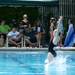 A competitor enters the water after a somersault dive on Monday, July 22. Daniel Brenner I AnnArbor.com